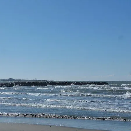 T2 Avec Terrasse Et Parking A 350m De La Plage, Proche Commerces. - Fr-1-307-217 Le Grau-du-Roi