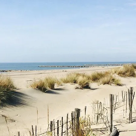 Apartment T2 Avec Terrasse Et Parking A 350m De La Plage, Proche Commerces. - Fr-1-307-217 Le Grau-du-Roi