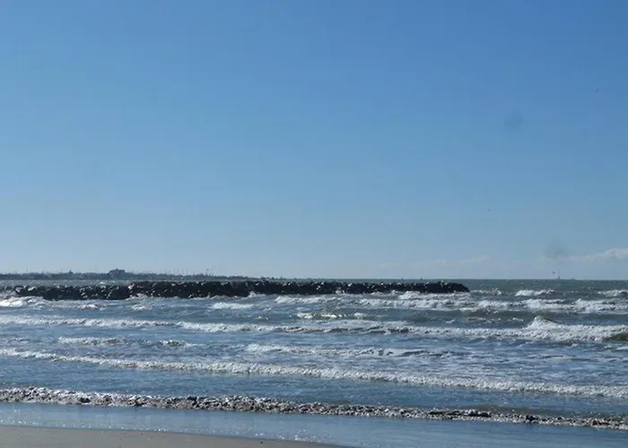 T2 Avec Terrasse Et Parking A 350m De La Plage, Proche Commerces. - Fr-1-307-217 Le Grau-du-Roi