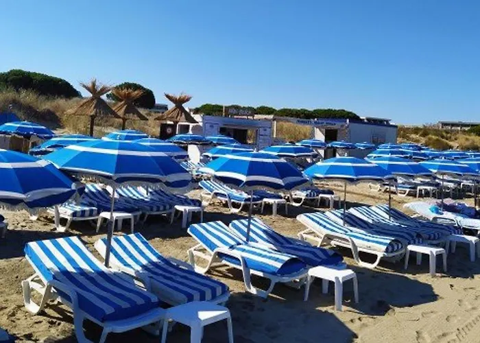 T2 Avec Terrasse Et Parking A 350m De La Plage, Proche Commerces. - Fr-1-307-217 Le Grau-du-Roi