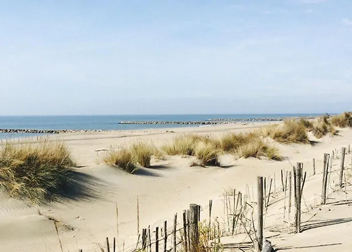 Lejlighed T2 Avec Terrasse Et Parking A 350m De La Plage, Proche Commerces. - Fr-1-307-217 Le Grau-du-Roi